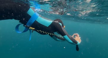 オレンジフィッシュに投稿された画像（2025/7/12）