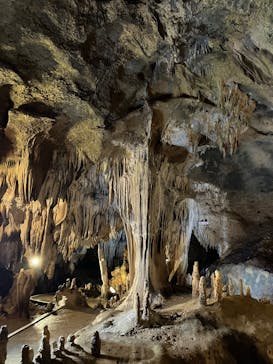 石垣島鍾乳洞に投稿された画像（2025/7/12）