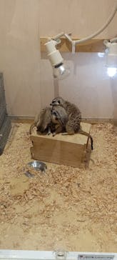 アニタッチ 東京ドームシティに投稿された画像（2025/7/12）