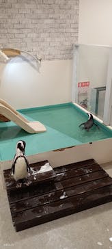 アニタッチ 東京ドームシティに投稿された画像（2025/7/12）