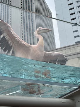 サンシャイン水族館に投稿された画像（2025/7/12）