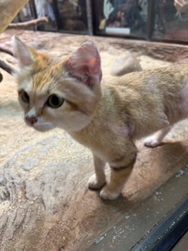 那須どうぶつ王国に投稿された画像（2025/7/12）