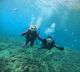 沖縄マリンサービス碧に投稿された画像（2025/7/13）