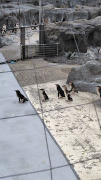 葛西臨海水族園に投稿された画像（2025/7/13）