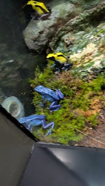 サンシャイン水族館に投稿された画像（2025/7/13）