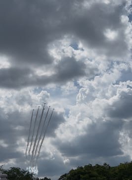 万博記念公園に投稿された画像（2025/7/13）