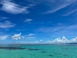 初心者専門マリンサービスサンフィッシュ石垣島に投稿された画像（2025/7/13）