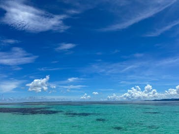 初心者専門マリンサービスサンフィッシュ石垣島に投稿された画像（2025/7/13）