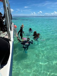 初心者専門マリンサービスサンフィッシュ石垣島に投稿された画像（2025/7/13）