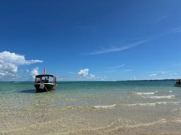 初心者専門マリンサービスサンフィッシュ石垣島に投稿された画像（2025/7/13）