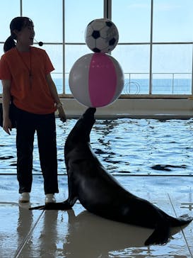 アクアワールド茨城県大洗水族館に投稿された画像（2025/7/13）