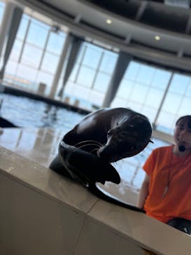 アクアワールド茨城県大洗水族館に投稿された画像（2025/7/13）