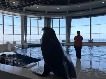 アクアワールド茨城県大洗水族館に投稿された画像（2025/7/13）