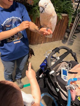 神戸どうぶつ王国に投稿された画像（2025/7/13）