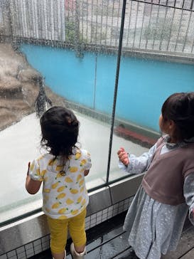 しながわ水族館に投稿された画像（2025/7/13）