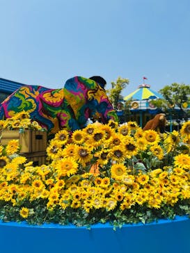 レゴランドⓇ・ジャパン・リゾートに投稿された画像（2025/7/13）