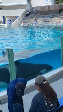 鴨川シーワールドに投稿された画像（2025/7/13）