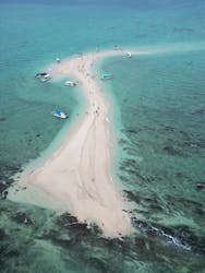 シメラギに投稿された画像（2025/7/13）