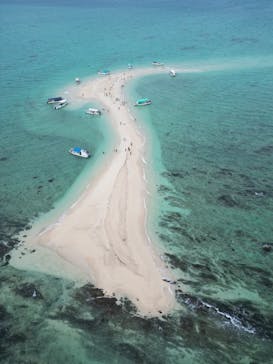 シメラギに投稿された画像（2025/7/13）