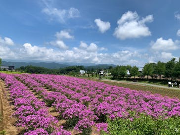 牧歌の里に投稿された画像（2025/7/13）