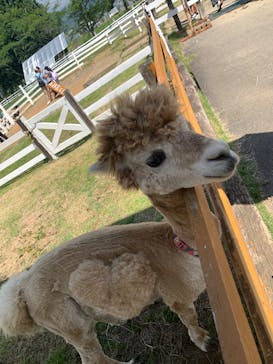 牧歌の里に投稿された画像（2025/7/13）