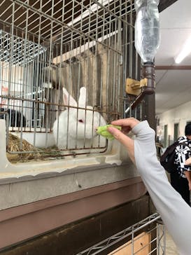 牧歌の里に投稿された画像（2025/7/13）