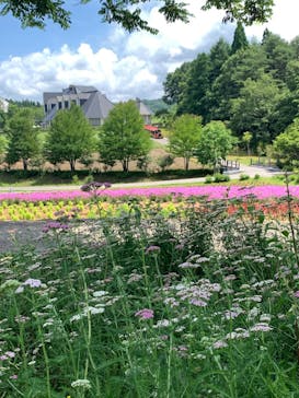 牧歌の里に投稿された画像（2025/7/13）