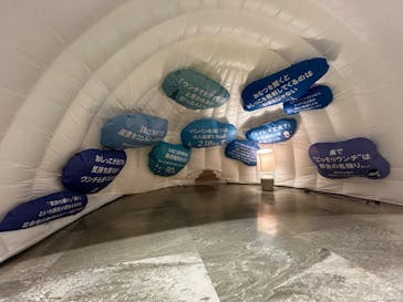 もっと！こどもの視展 -こどもになる12の体験-に投稿された画像（2025/7/13）