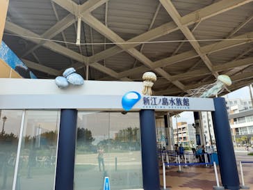 新江ノ島水族館に投稿された画像（2025/7/13）