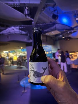 新江ノ島水族館に投稿された画像（2025/7/13）