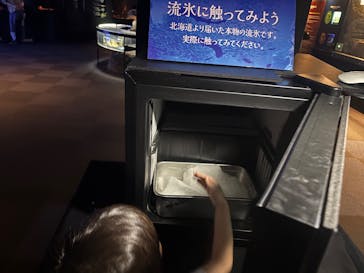 新江ノ島水族館に投稿された画像（2025/7/13）