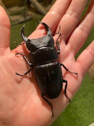 びーとるランド君津に投稿された画像（2025/7/13）