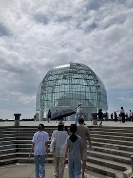 葛西臨海水族園に投稿された画像（2025/7/13）