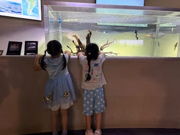 カワスイ 川崎⽔族館に投稿された画像（2025/7/13）