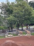 多摩動物公園に投稿された画像（2025/7/13）