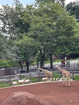 多摩動物公園に投稿された画像（2025/7/13）