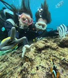 武藤潜水に投稿された画像（2025/7/13）