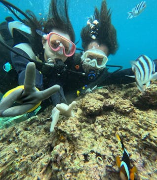 武藤潜水に投稿された画像（2025/7/13）