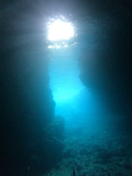 武藤潜水に投稿された画像（2025/7/13）