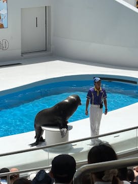 鴨川シーワールドに投稿された画像（2025/7/13）