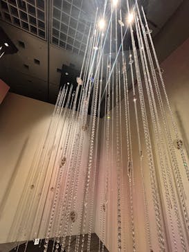 正倉院 THE SHOW －感じる。いま、ここにある奇跡－に投稿された画像（2025/7/13）