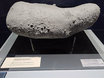 特別展「深宇宙展～人類はどこへ向かうのか」To the Moon and Beyond（日本科学未来館）に投稿された画像（2025/7/13）