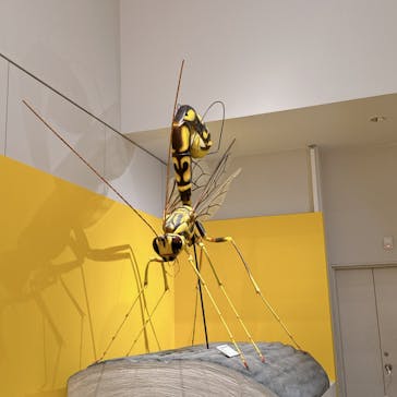 特別展 『昆虫 MANIAC』に投稿された画像（2025/7/13）