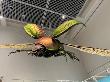 特別展 『昆虫 MANIAC』に投稿された画像（2025/7/13）