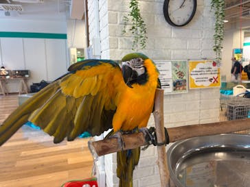 いきもの探検隊湘南に投稿された画像（2025/7/13）