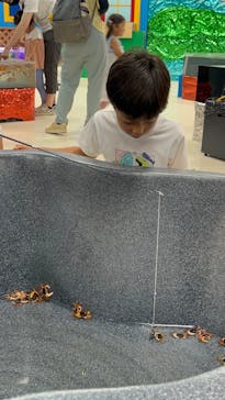 いきもの探検隊上尾に投稿された画像（2025/7/13）