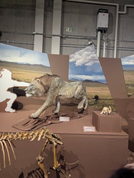 特別展「氷河期展 〜人類が見た4万年前の世界〜」（国立科学博物館）に投稿された画像（2025/7/13）