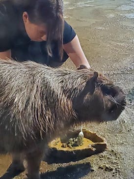 マクセル アクアパーク品川に投稿された画像（2025/7/13）