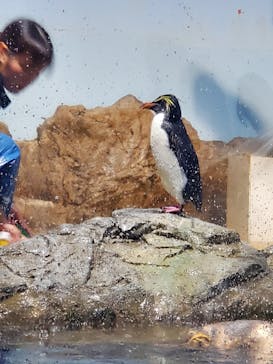 マクセル アクアパーク品川に投稿された画像（2025/7/13）