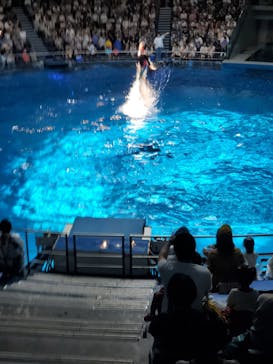 マクセル アクアパーク品川に投稿された画像（2025/7/13）